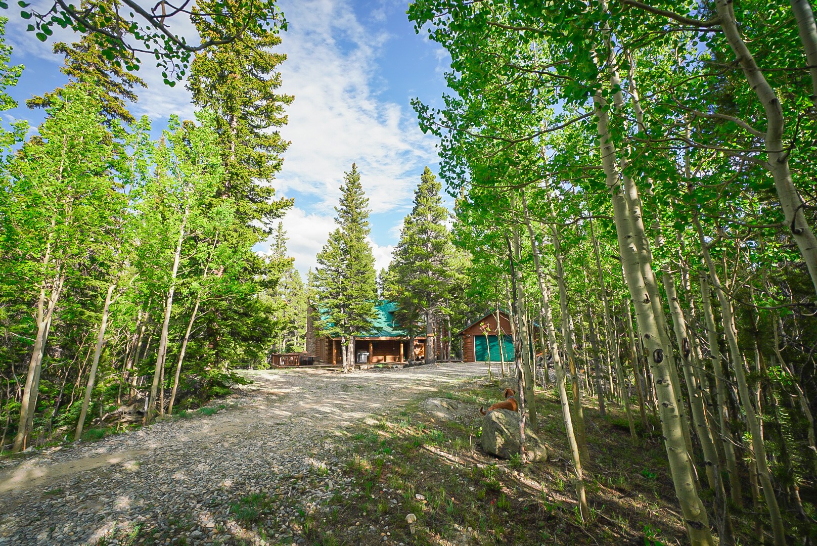 Summer in the Colorado high country near Timber Valley Lodge